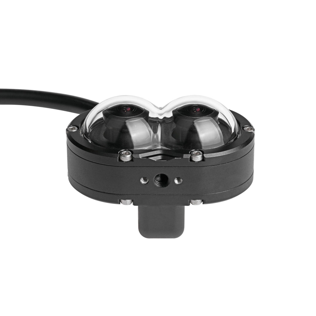 Blu-Vision Fish-Eye Binocular Video Camera