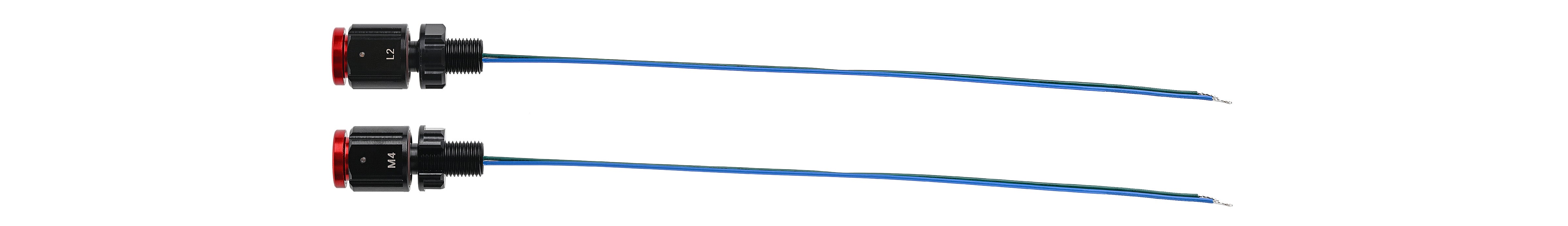 Large Bottom Image