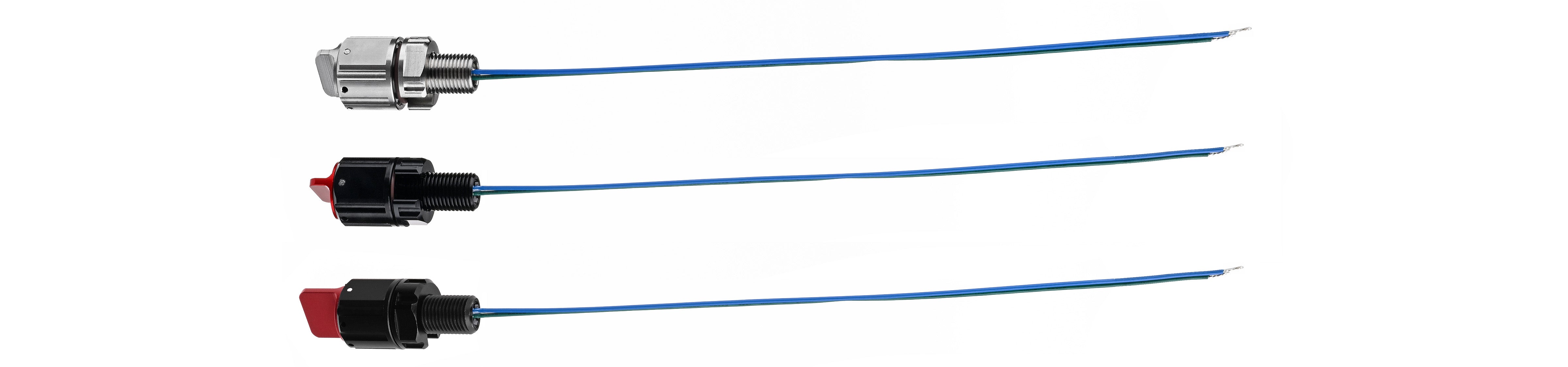 Large Bottom Image