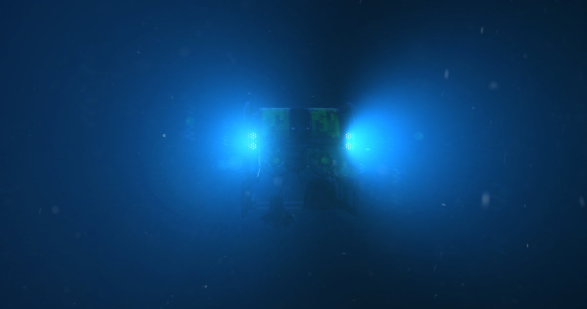 Blu-Sub Mechatronics | Subsea Robotics Parts & Underwater Components