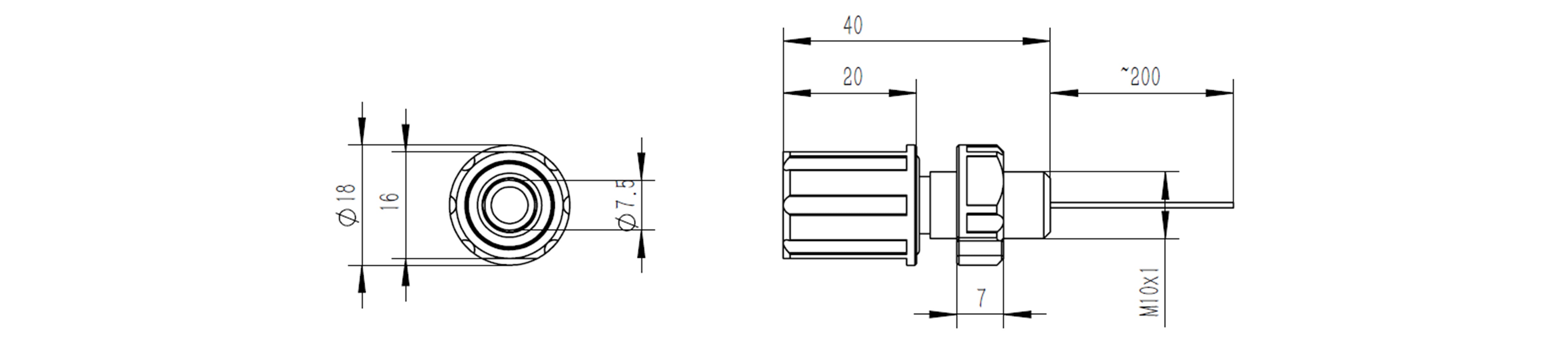 Large Middle Image